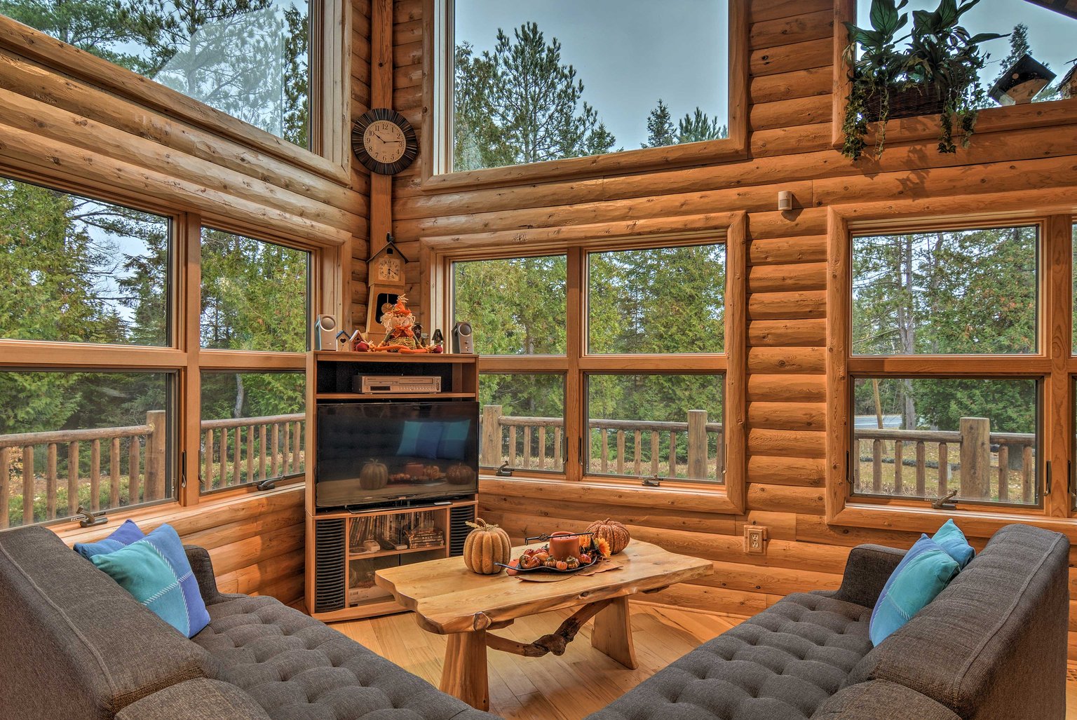 Ocqueoc Vacation Rental