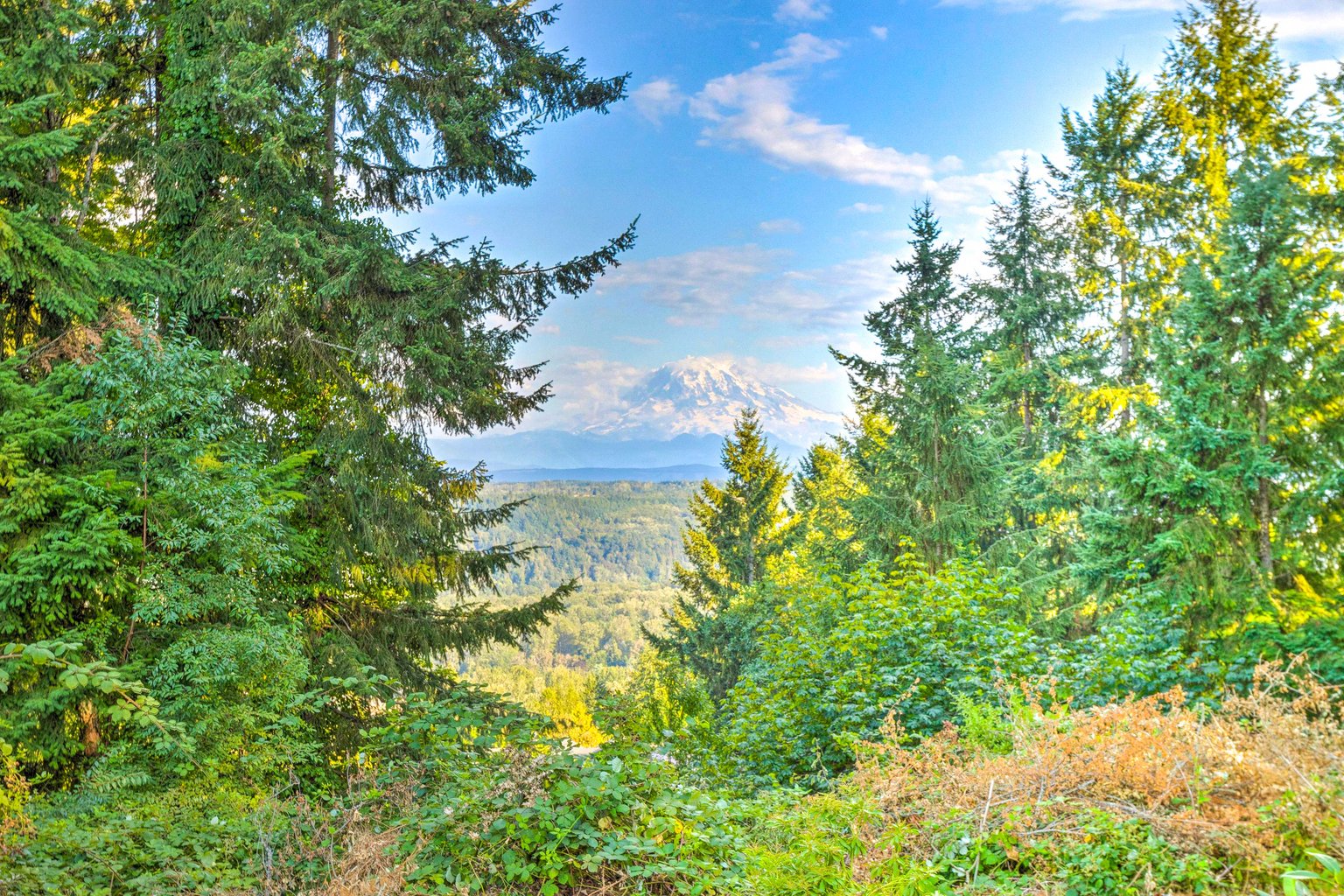 Puyallup Vacation Rental