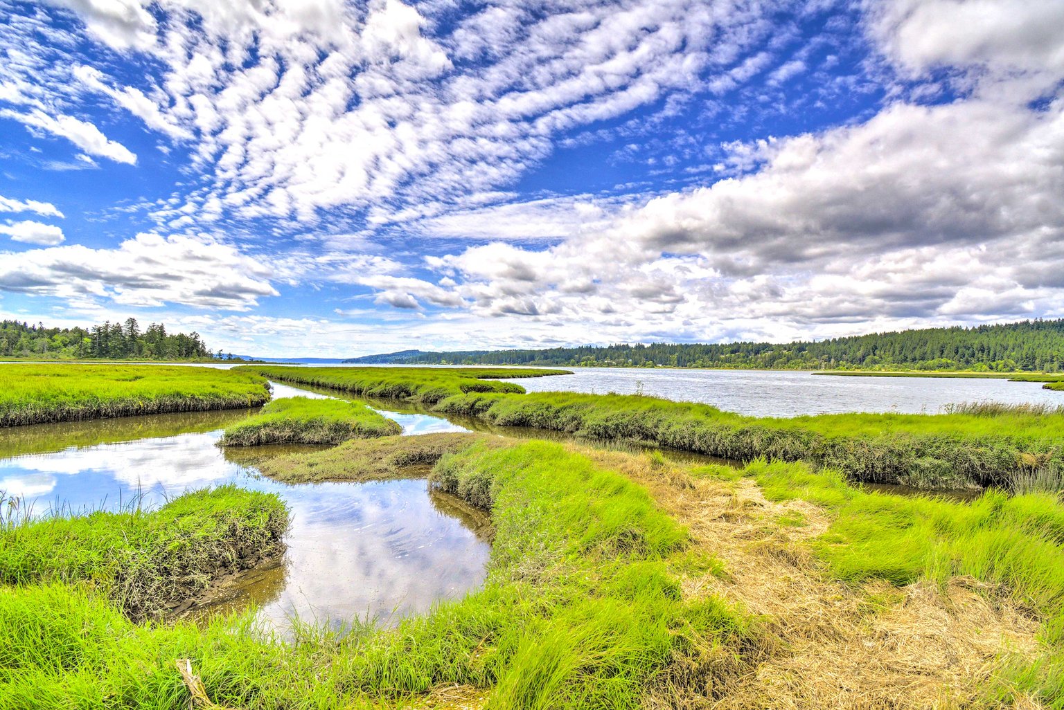 Belfair Vacation Rental