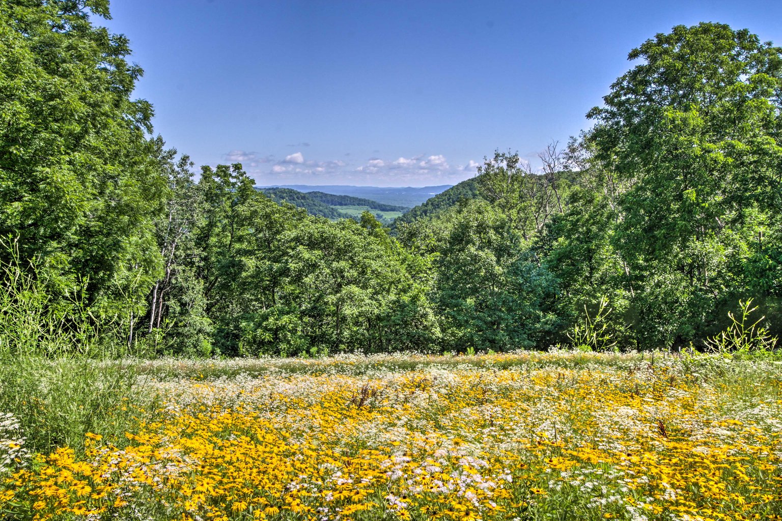 La Crescent Vacation Rental