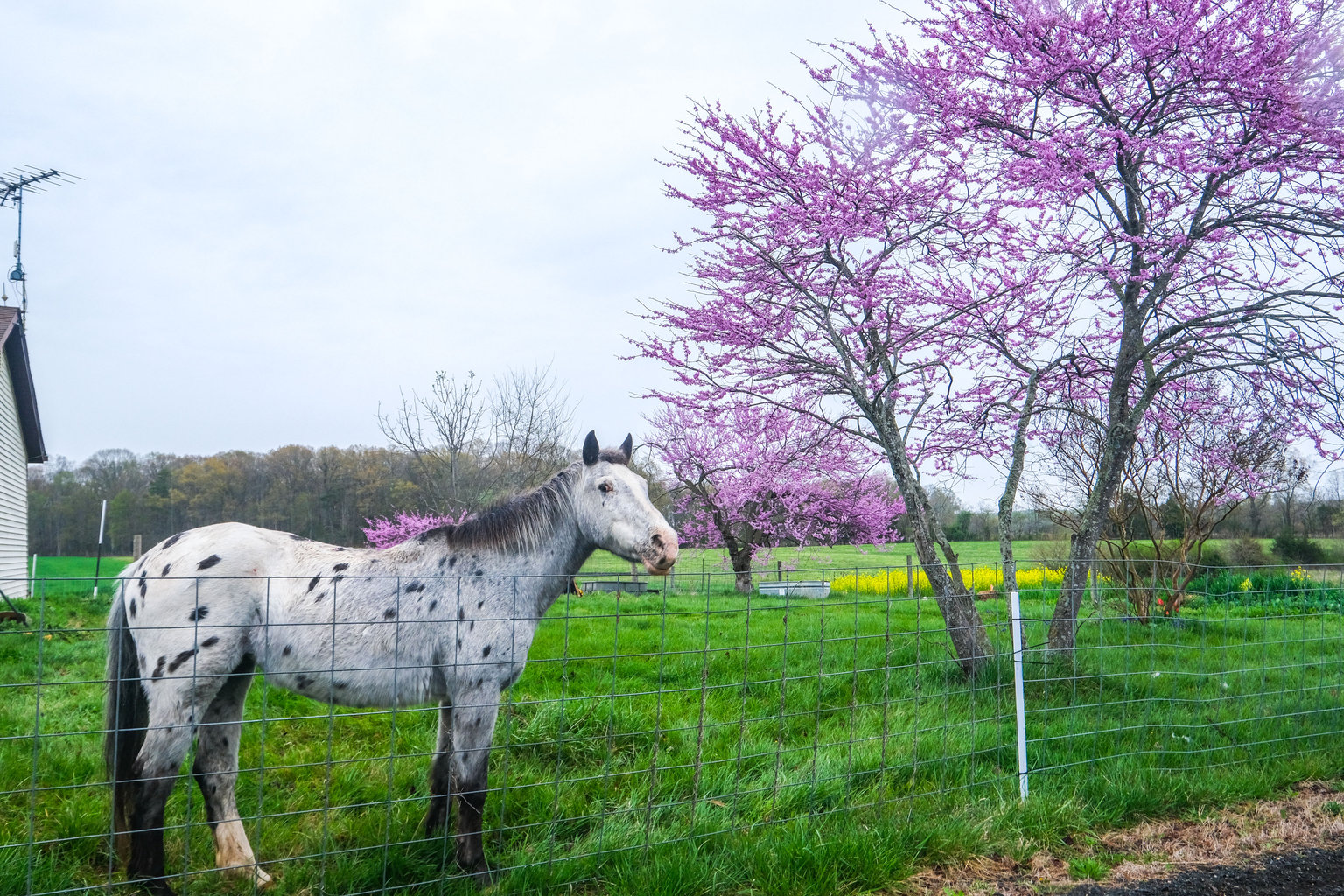 Bealeton Vacation Rental