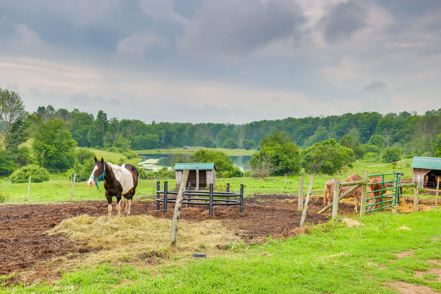 Middlebury Center Vacation Rental