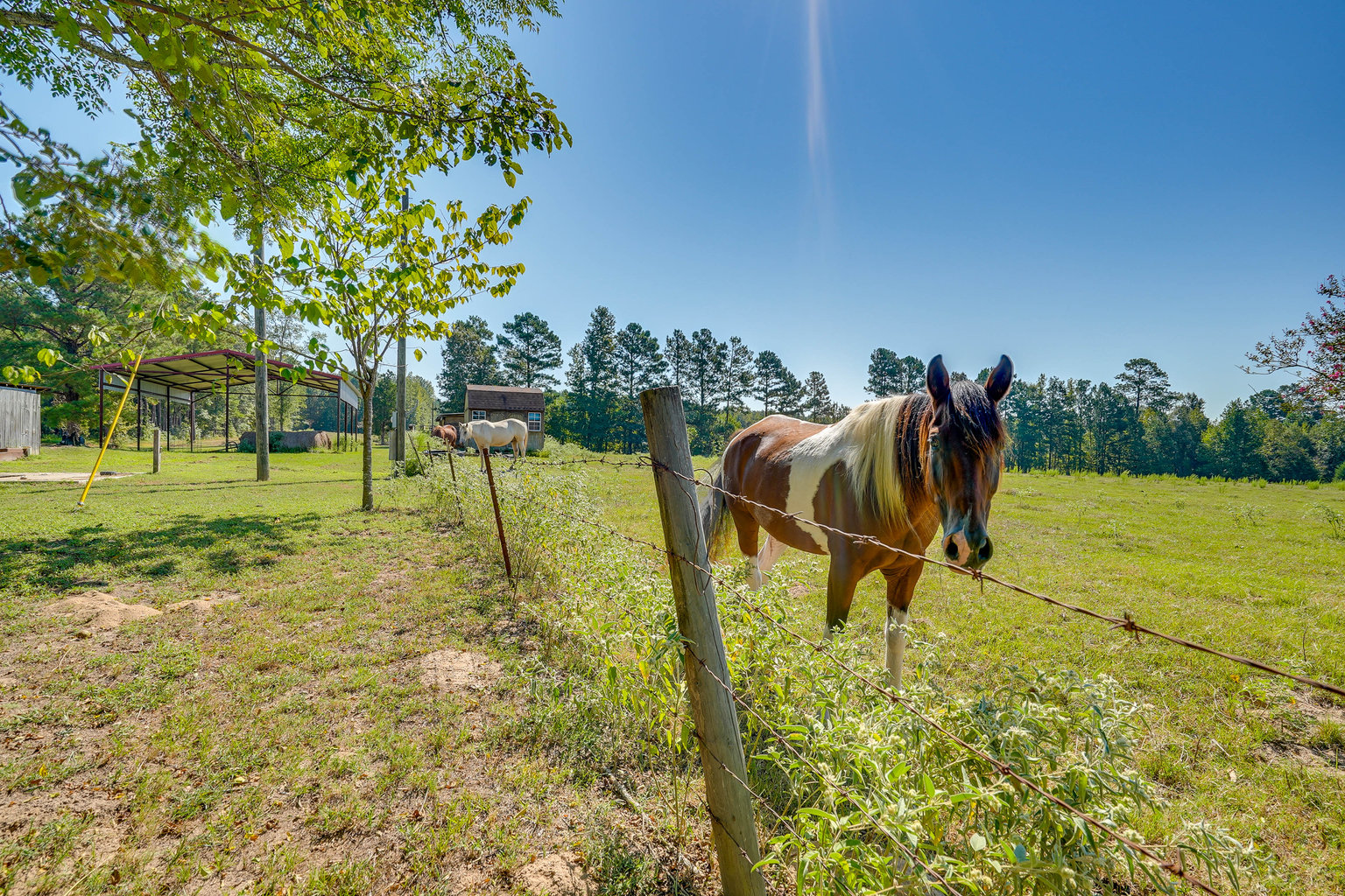 Haynesville Vacation Rental