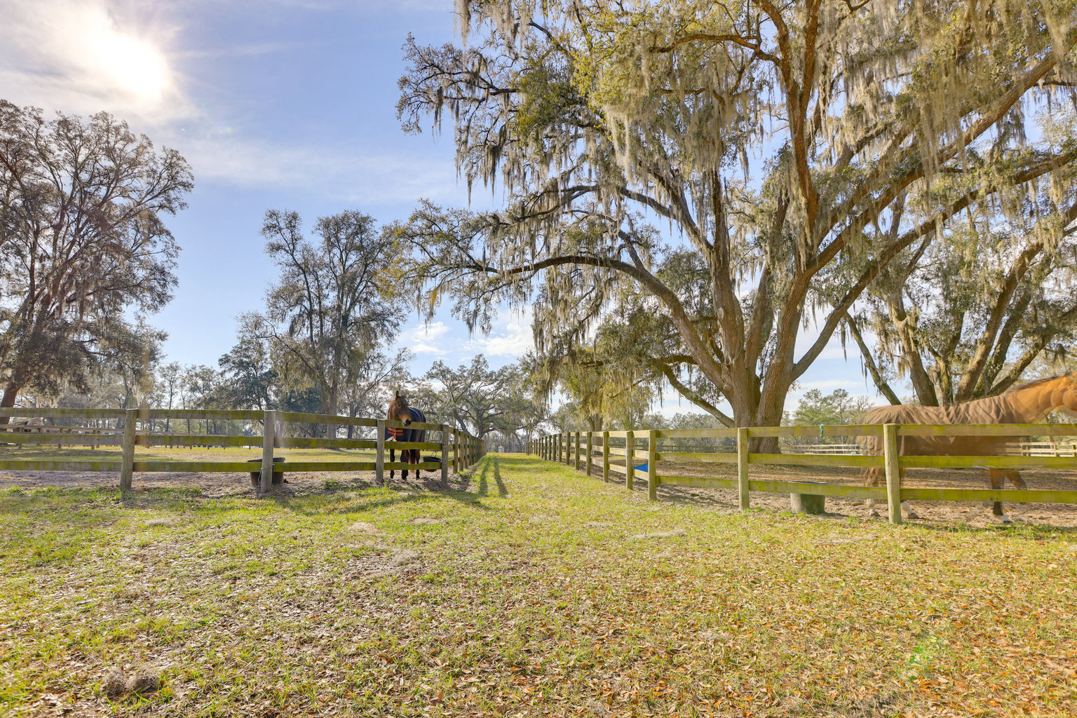 Morriston Vacation Rental
