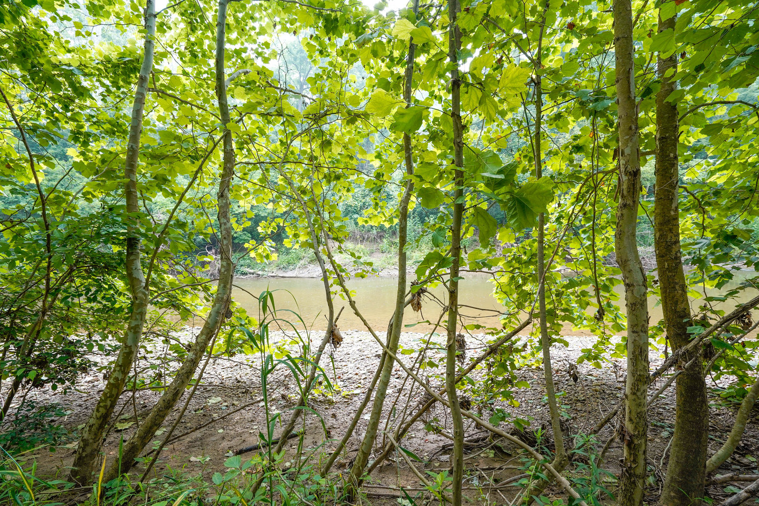 Utica Vacation Rental