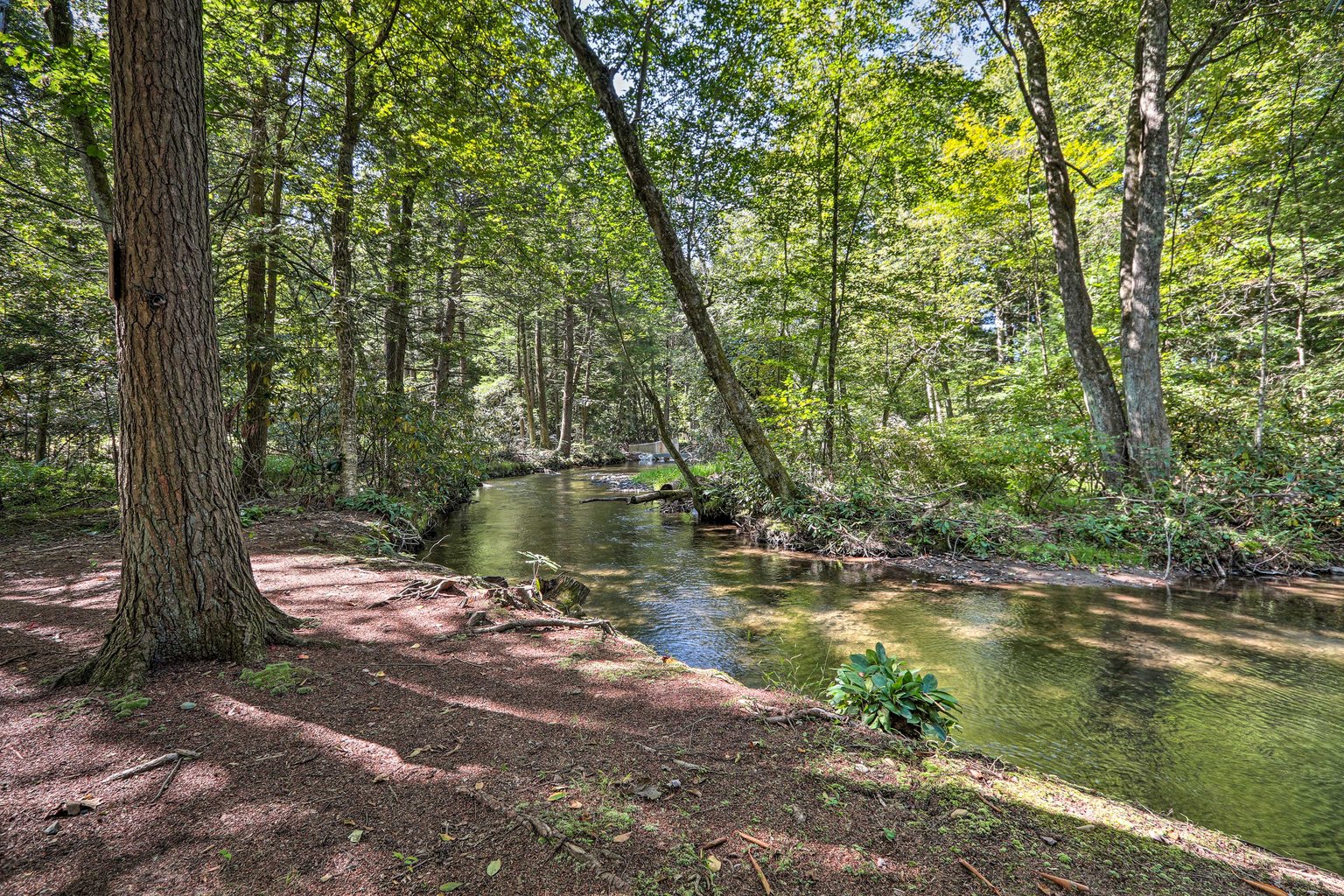 Effort Vacation Rental