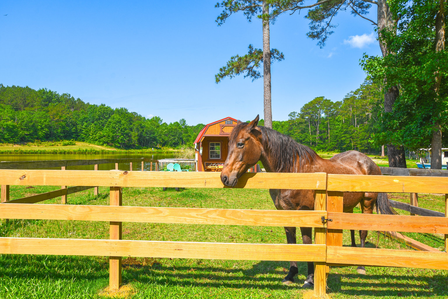 Benson Vacation Rental