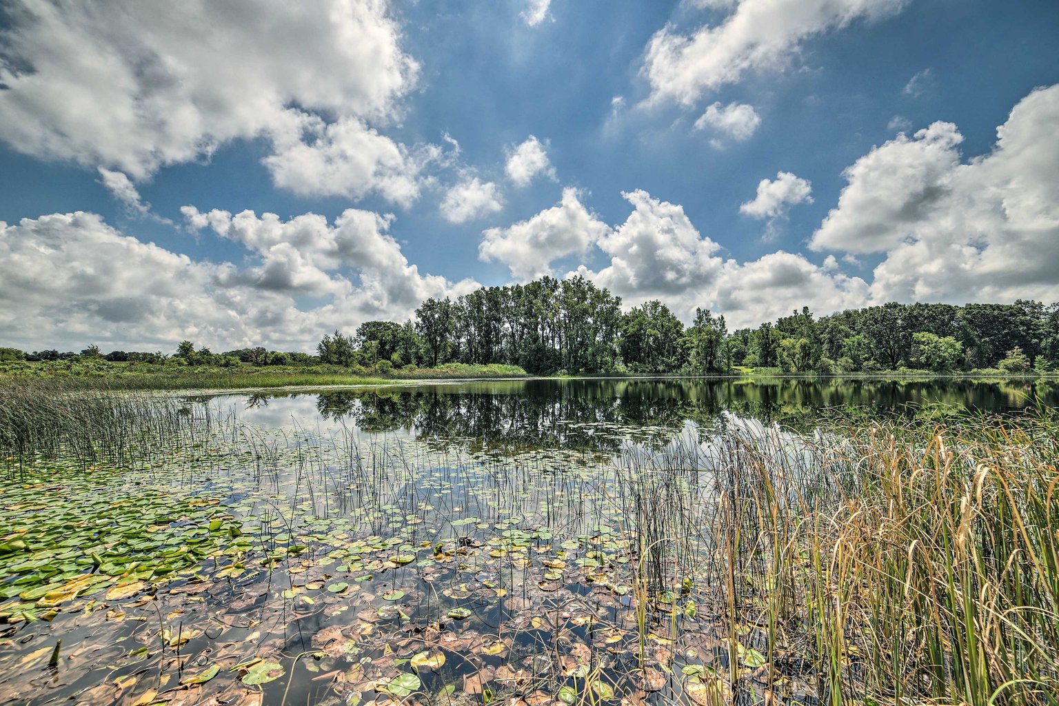 Bronson Vacation Rental