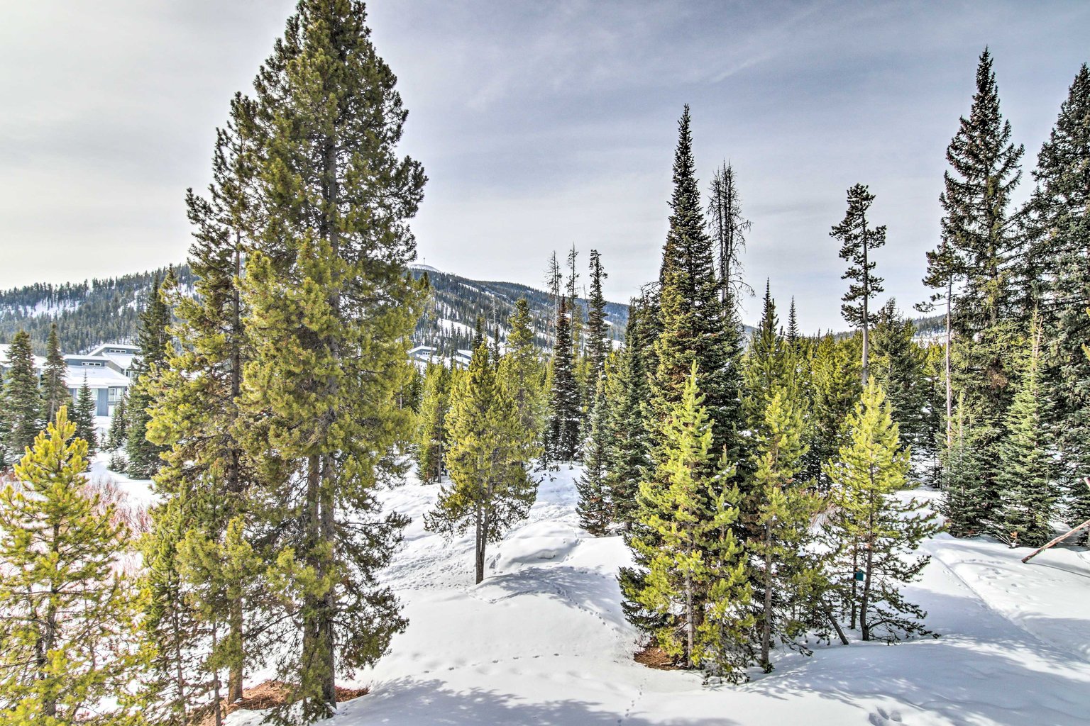 Big Sky Vacation Rental