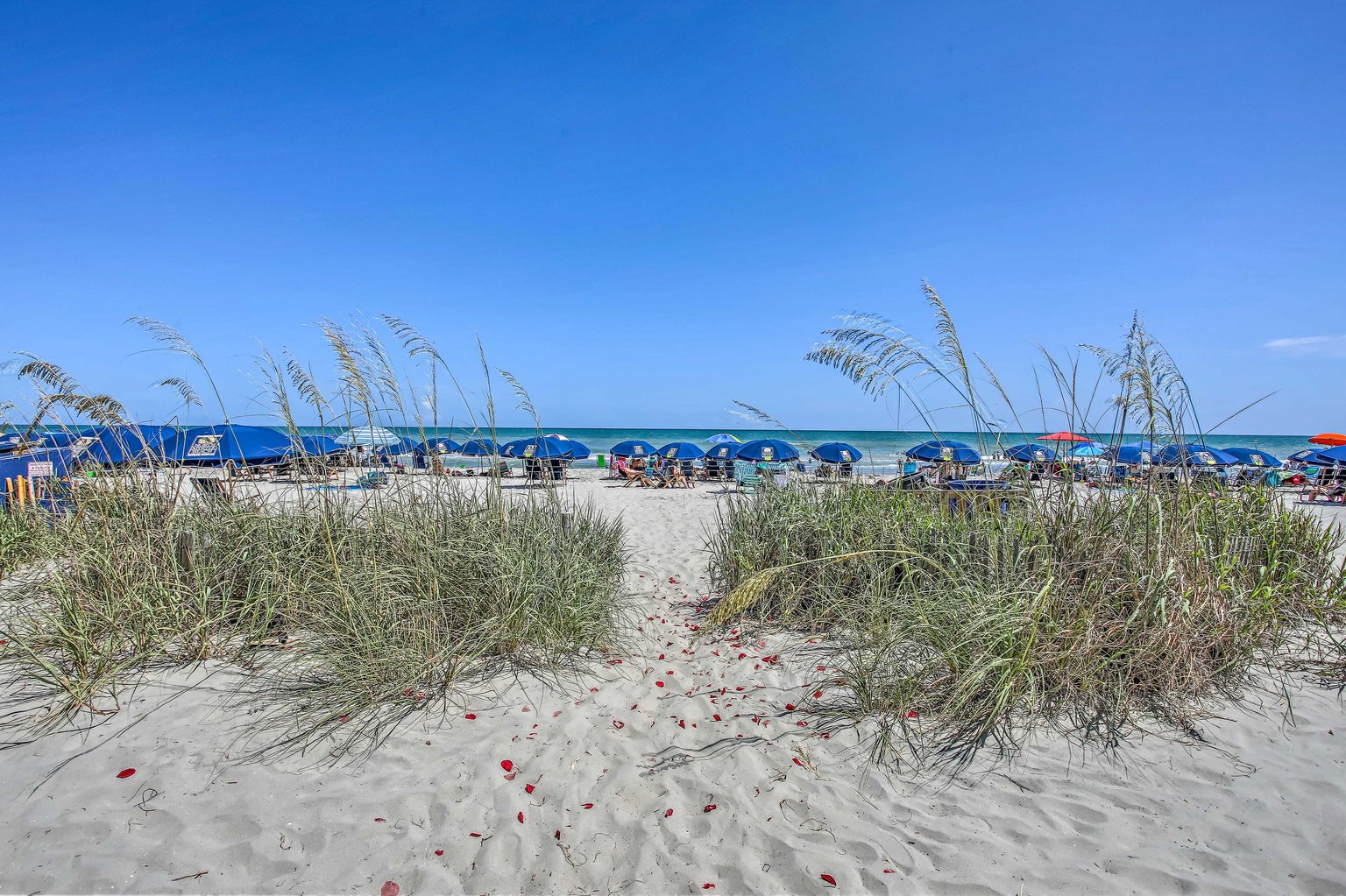 North Myrtle Beach Vacation Rental