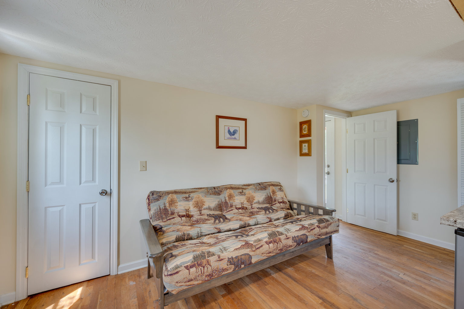 Buena Vista Vacation Rental