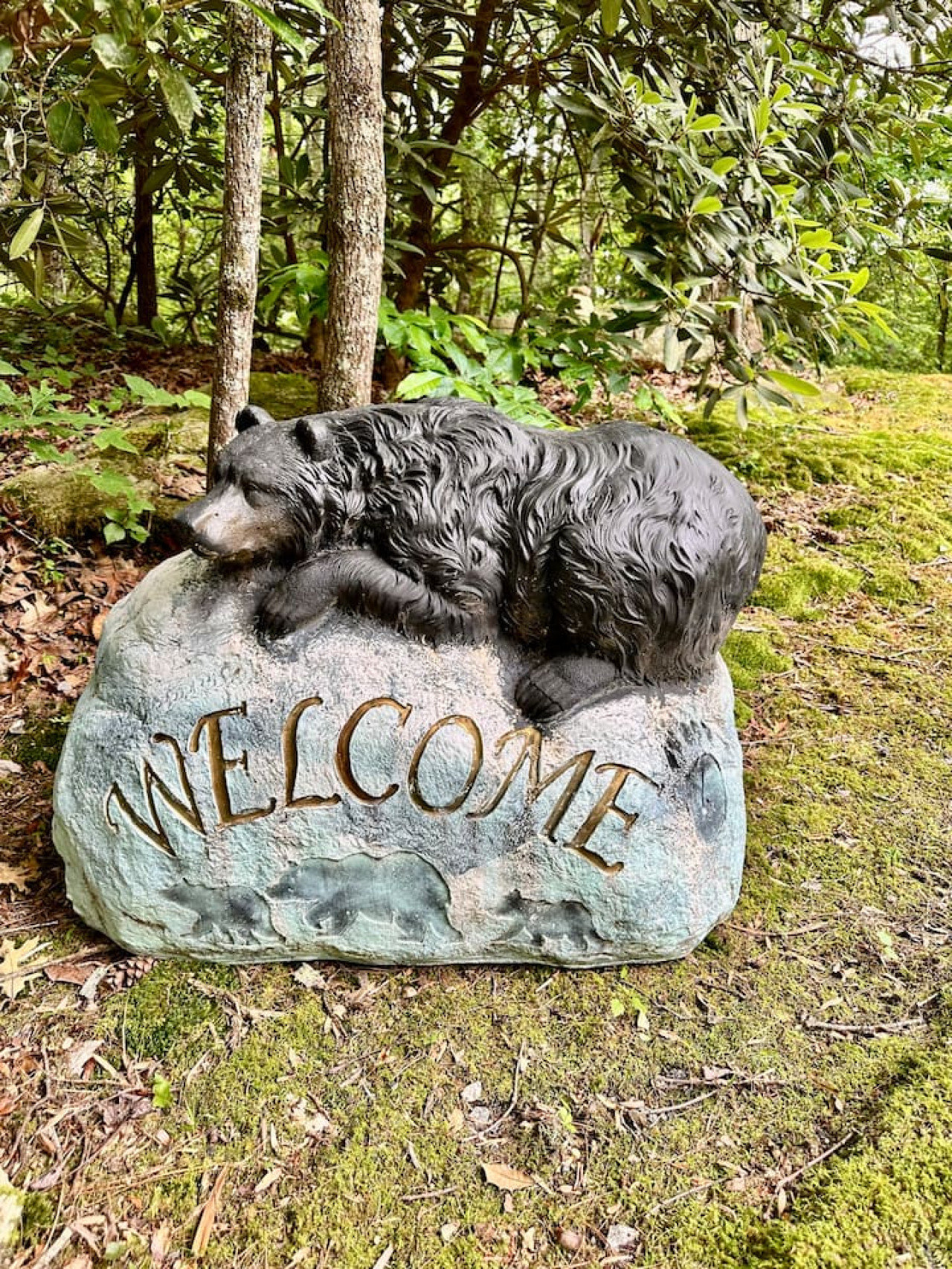 Clayton Vacation Rental