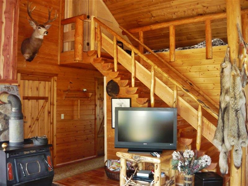 null Vacation Rental