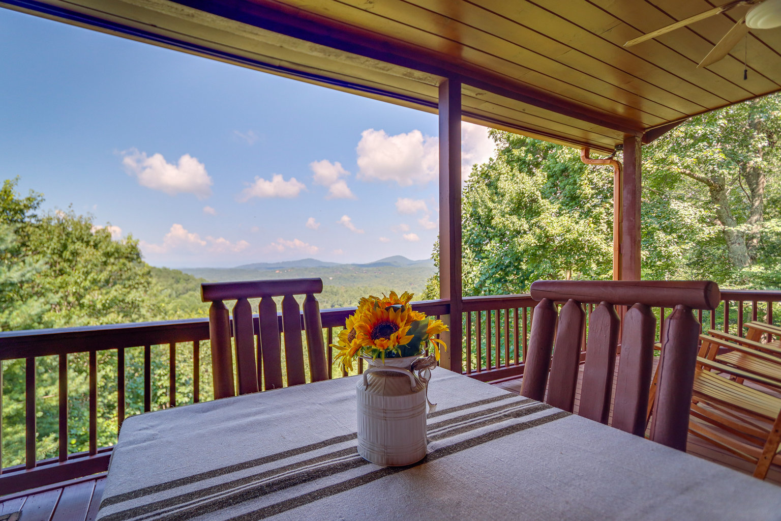 Mineral Bluff Vacation Rental