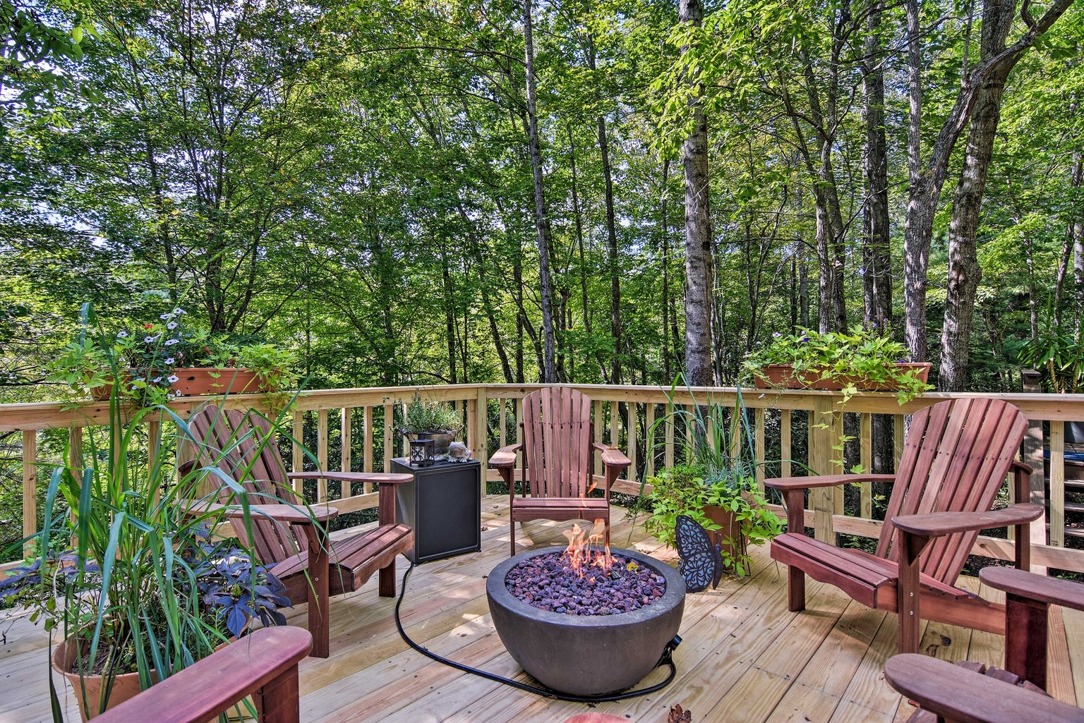 Black Mountain Vacation Rental