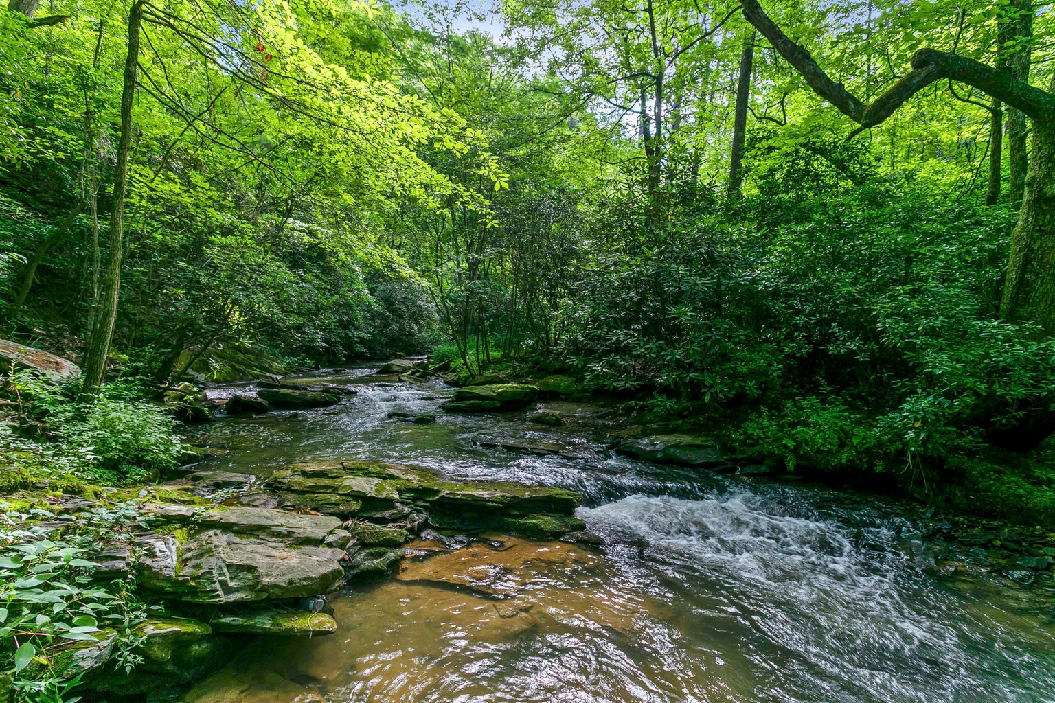 Mineral Bluff Vacation Rental