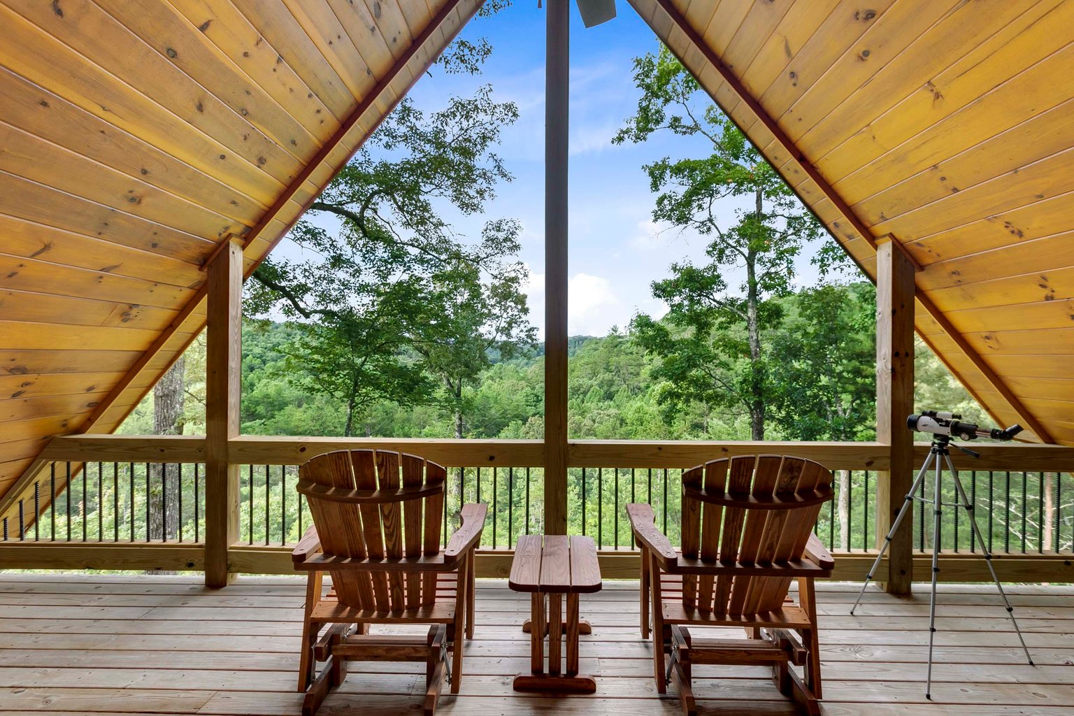 Mineral Bluff Vacation Rental