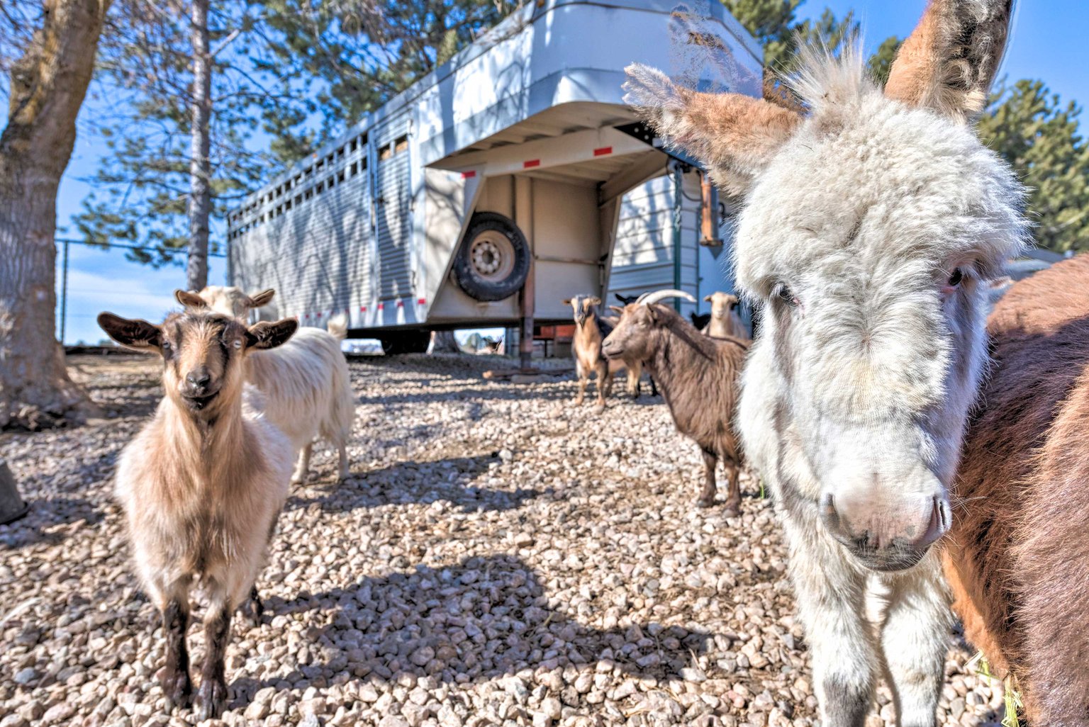 Ogden Vacation Rental