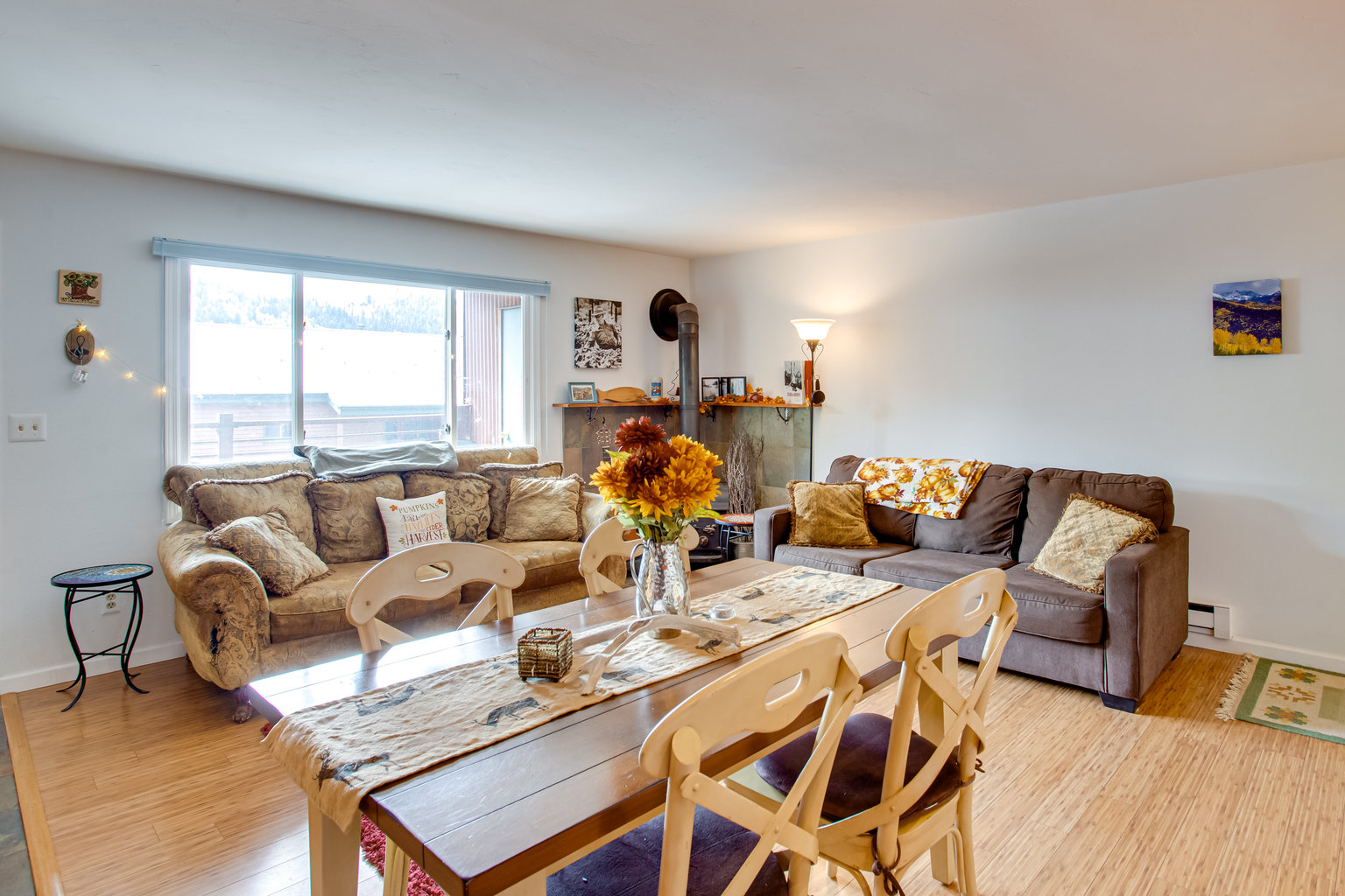 Telluride Vacation Rental