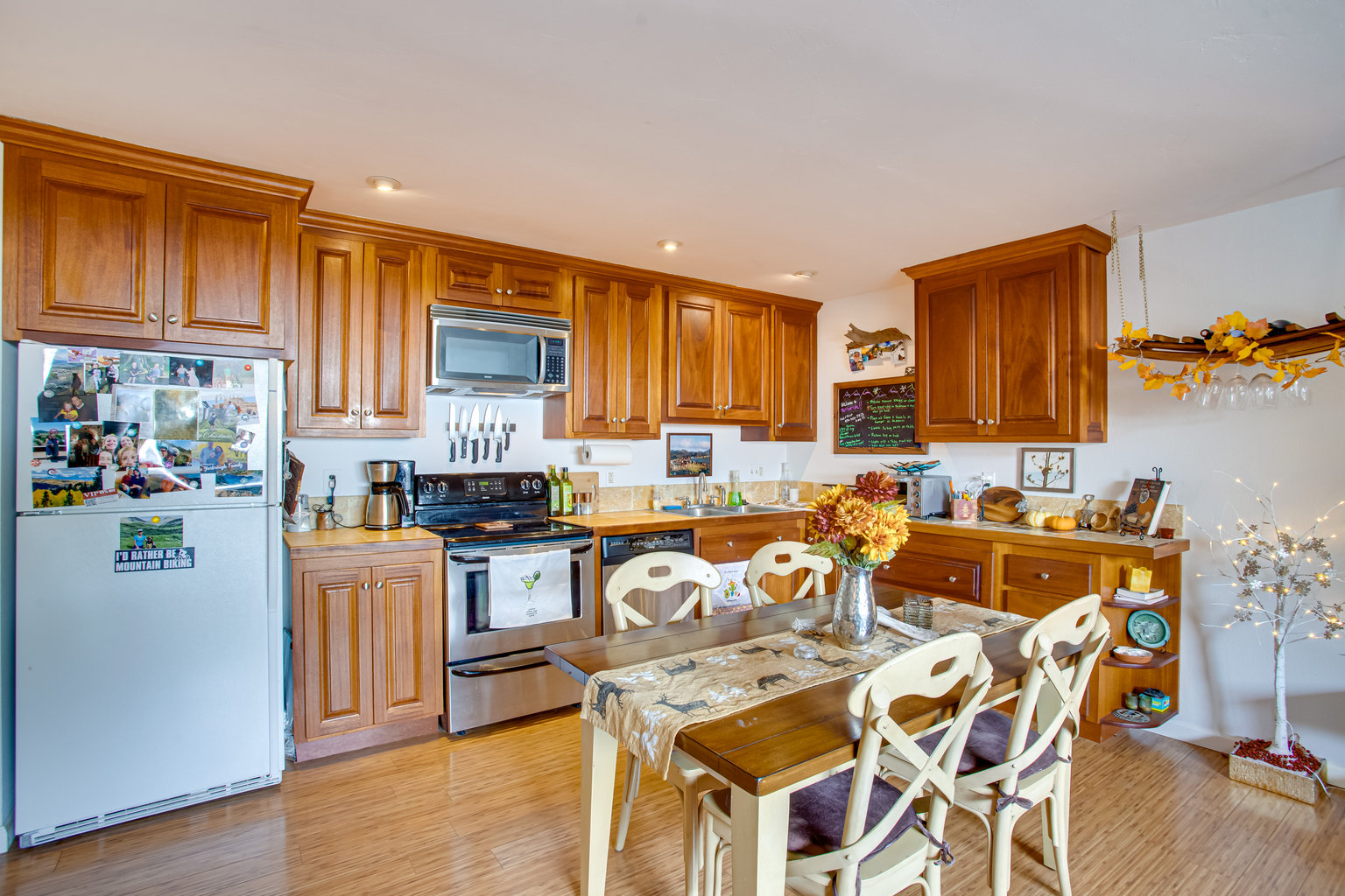 Telluride Vacation Rental