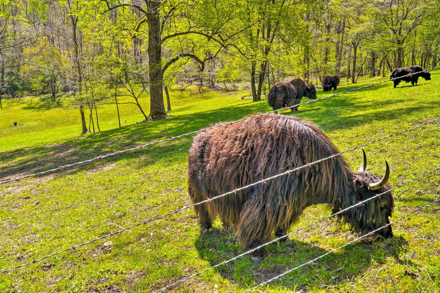 Crossville Vacation Rental