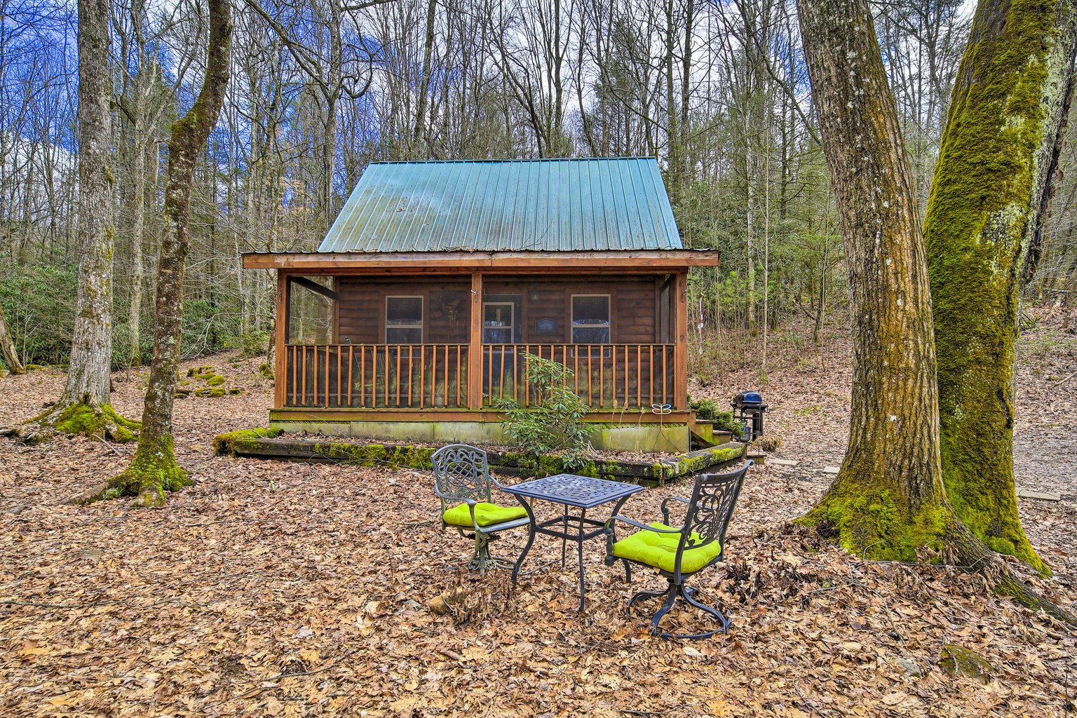 Mountain City Vacation Rental