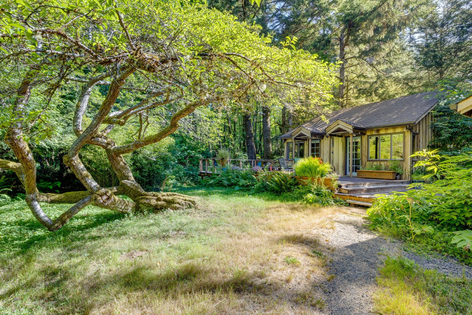 Arch Cape Vacation Rental