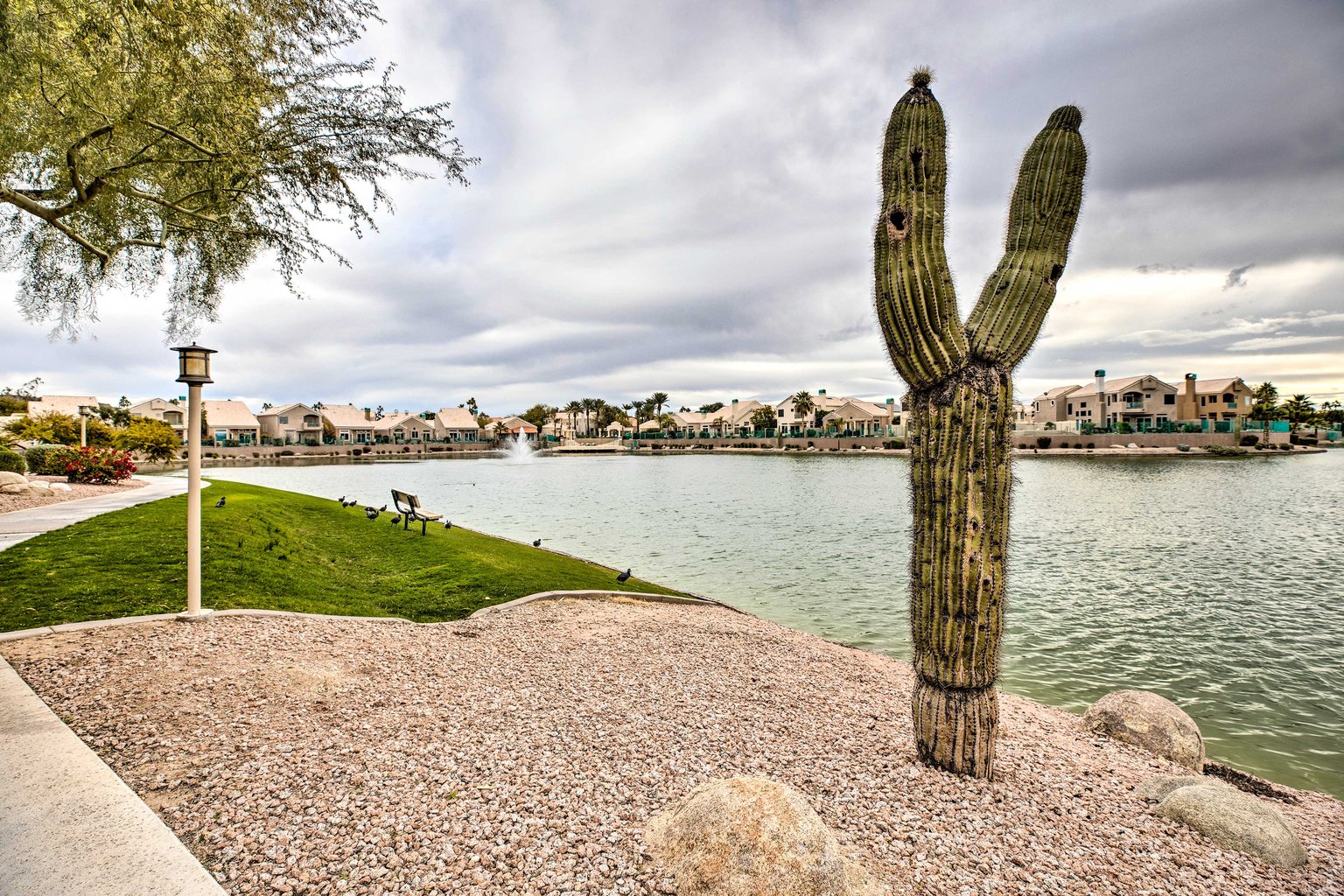 Phoenix Vacation Rental