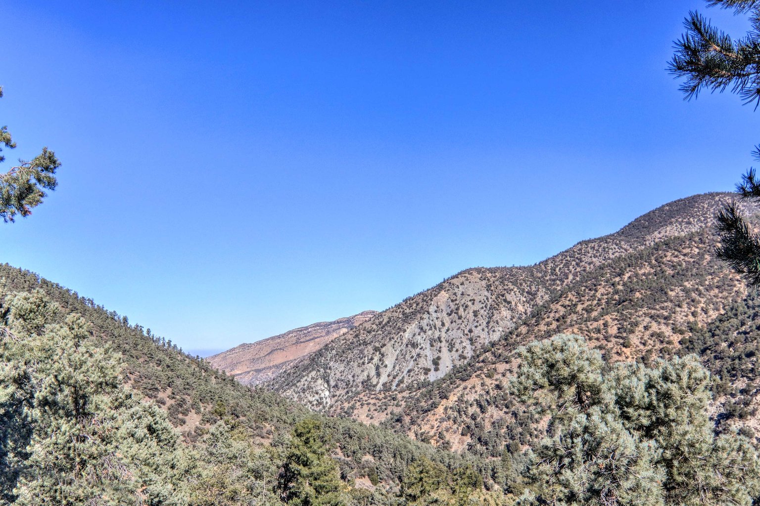 Frazier Park Vacation Rental