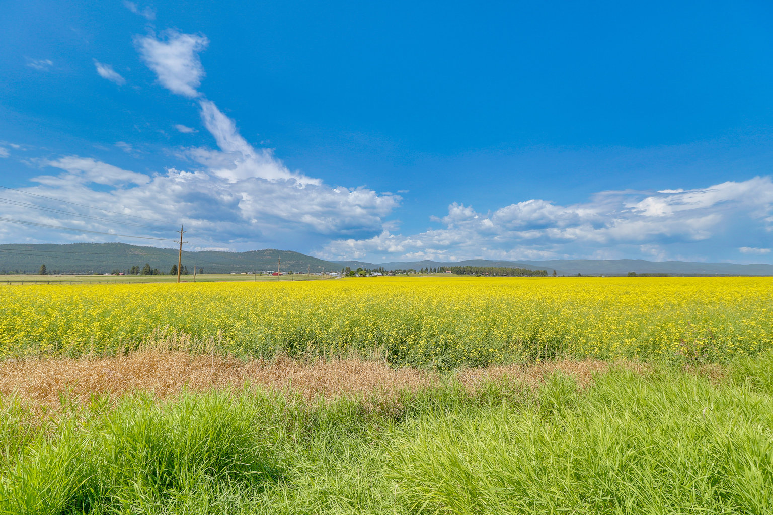 Kalispell Vacation Rental