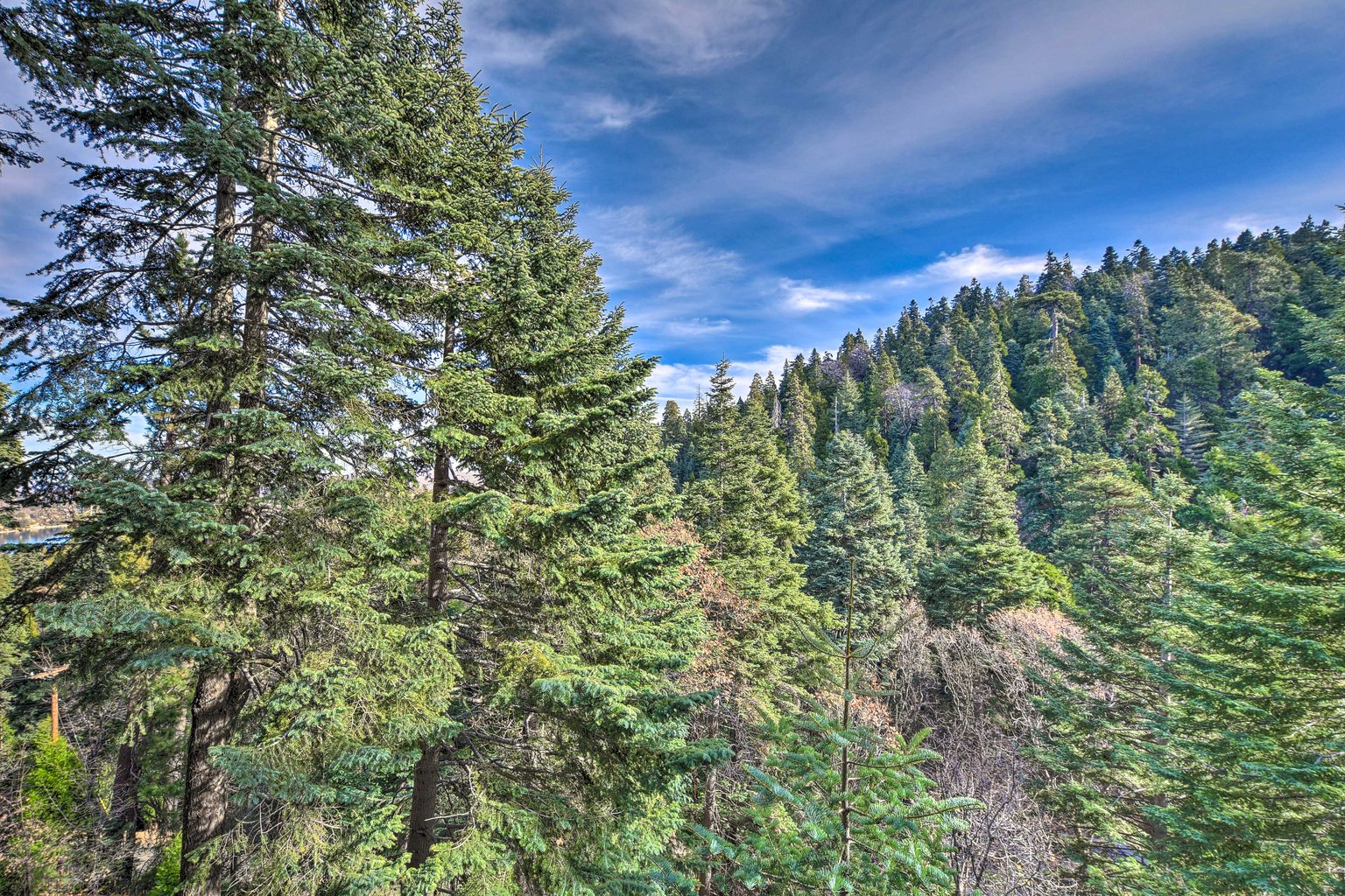 Lake Arrowhead Vacation Rental