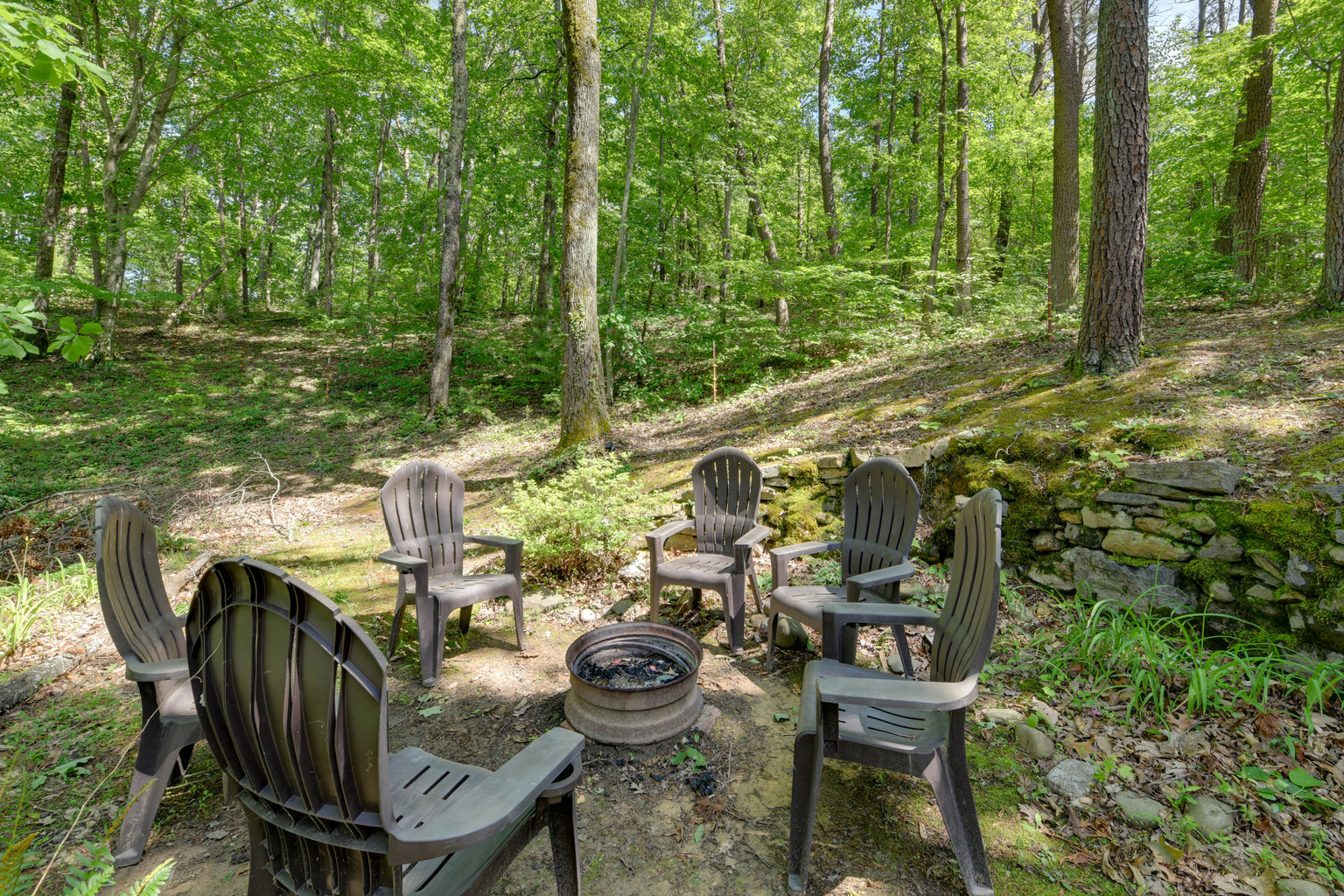Cosby Vacation Rental