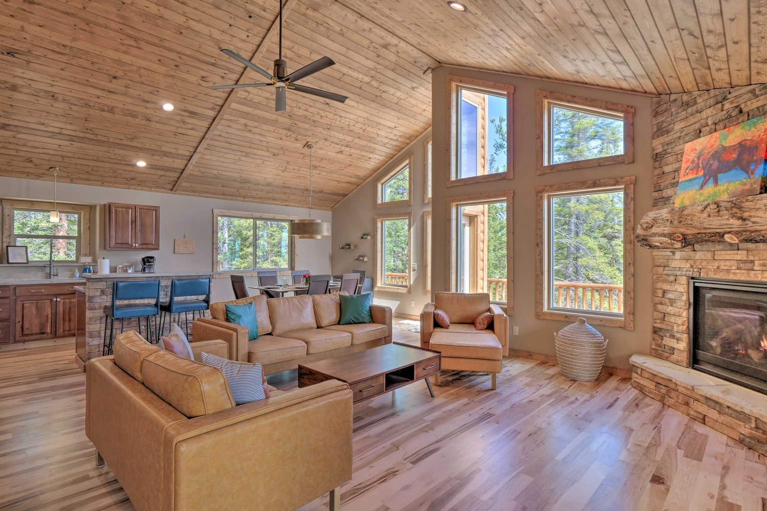 Fairplay Vacation Rental