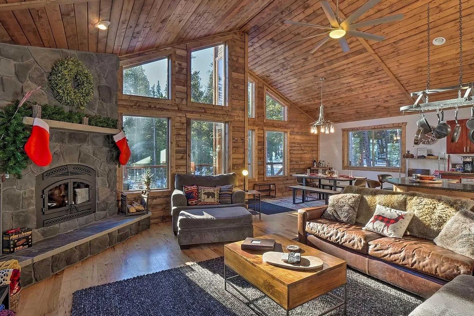 Fairplay Vacation Rental