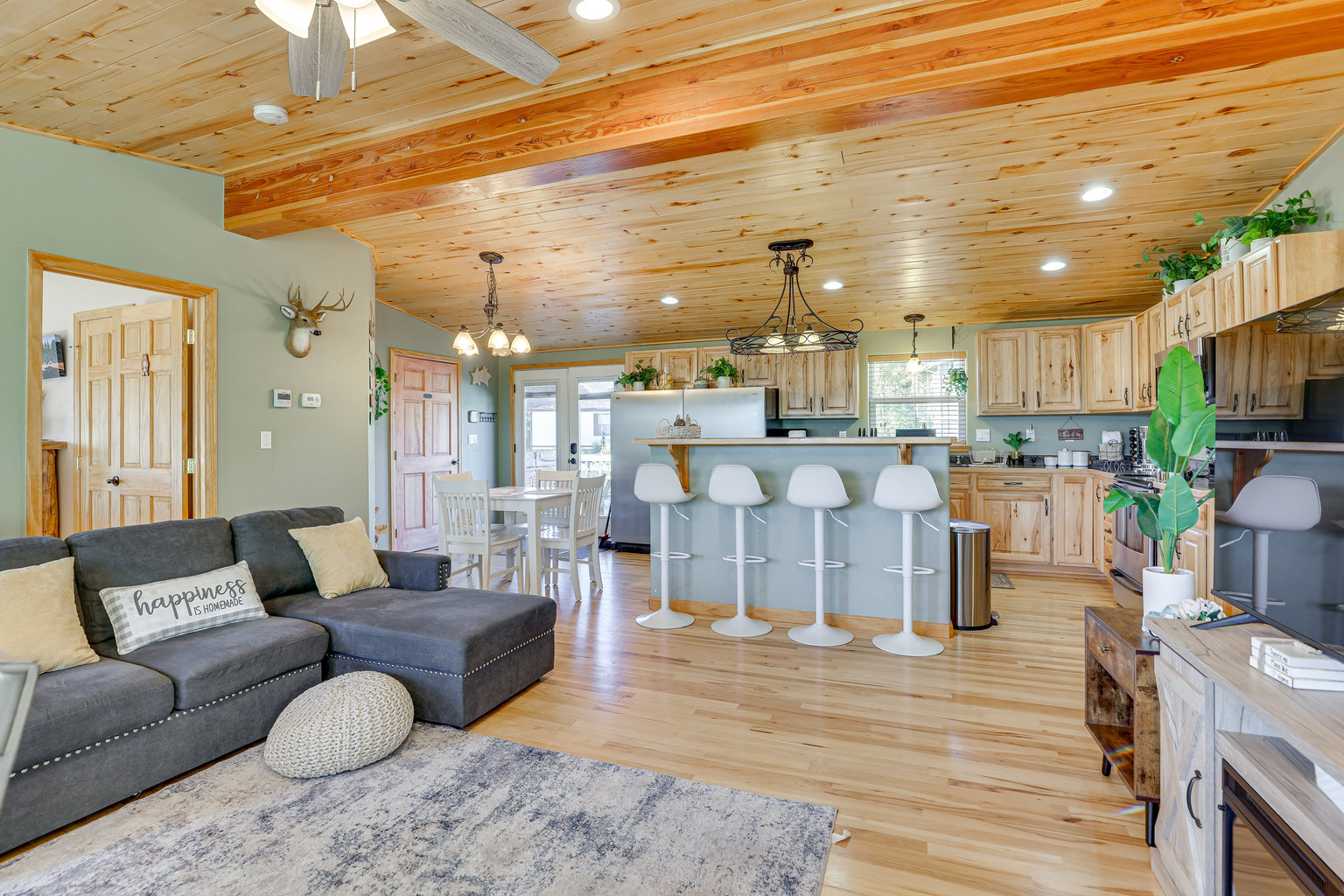 Fairplay Vacation Rental