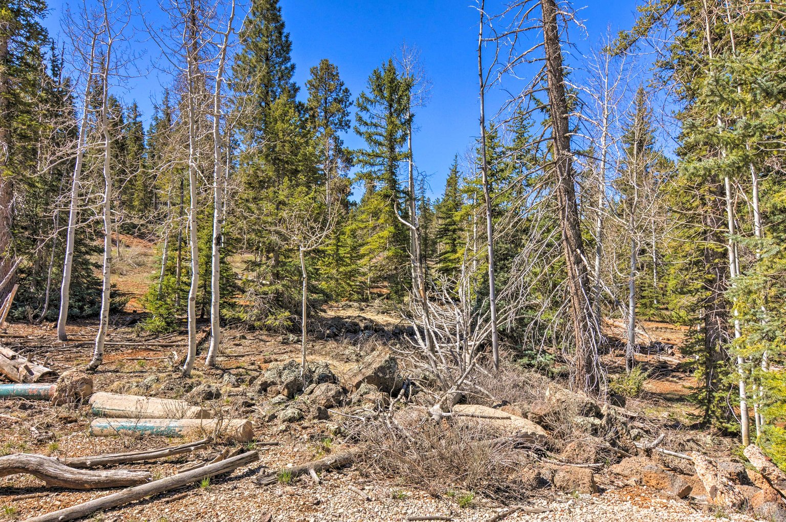 Duck Creek Village Vacation Rental