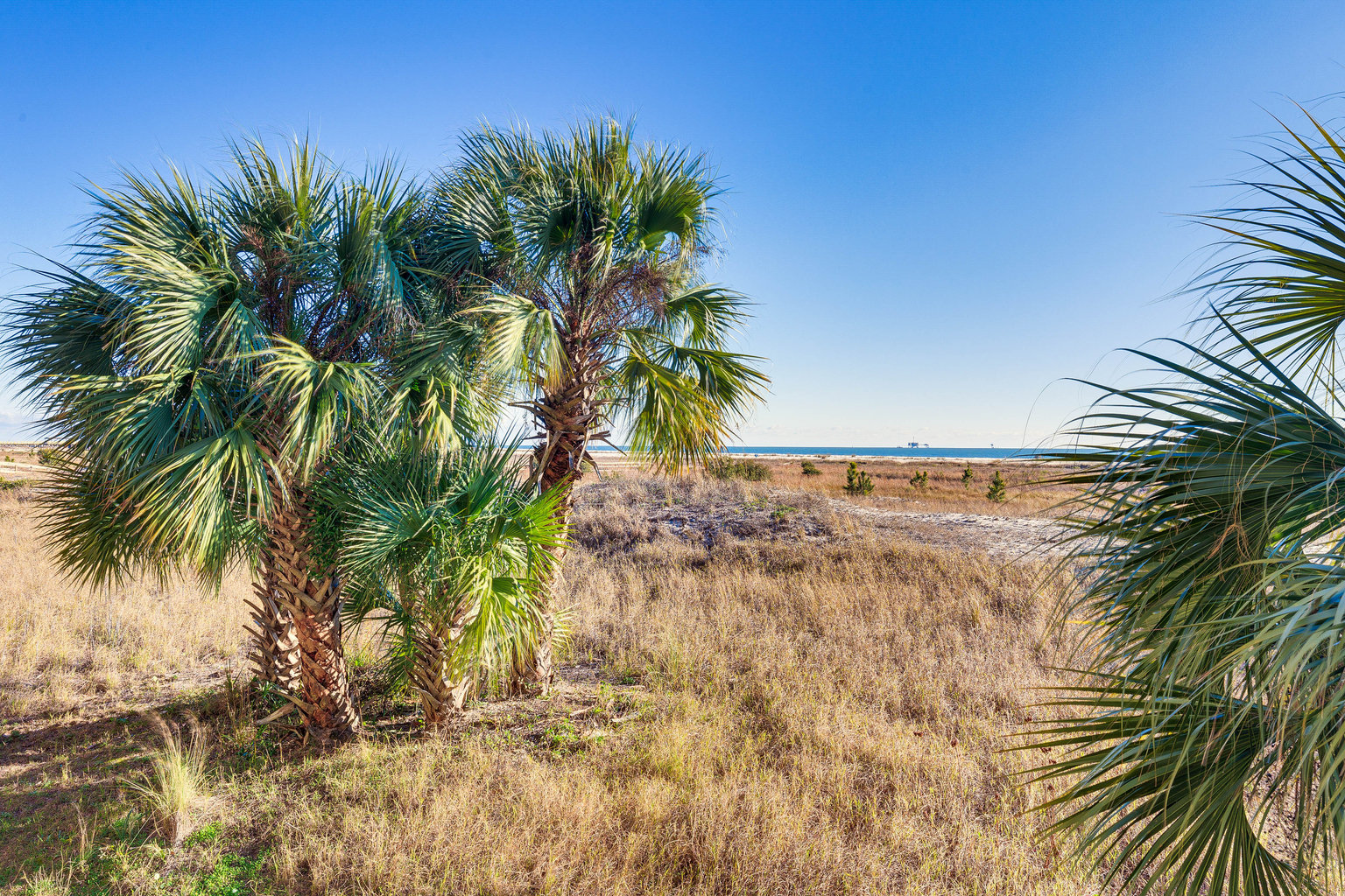 Dauphin Island Vacation Rental