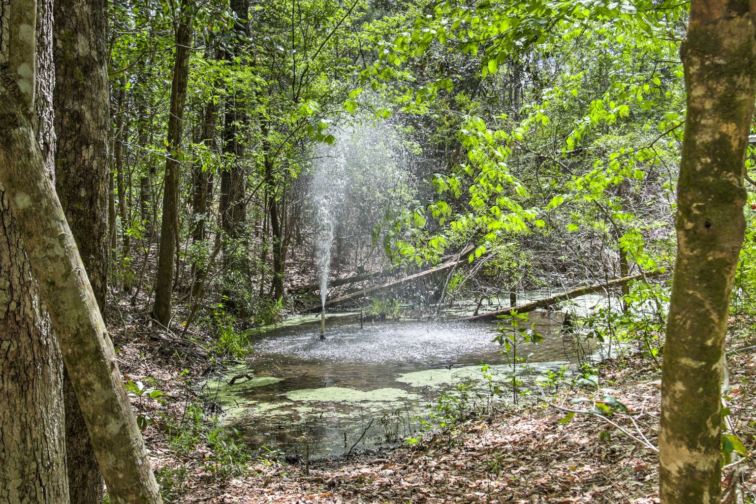 Kiln Vacation Rental