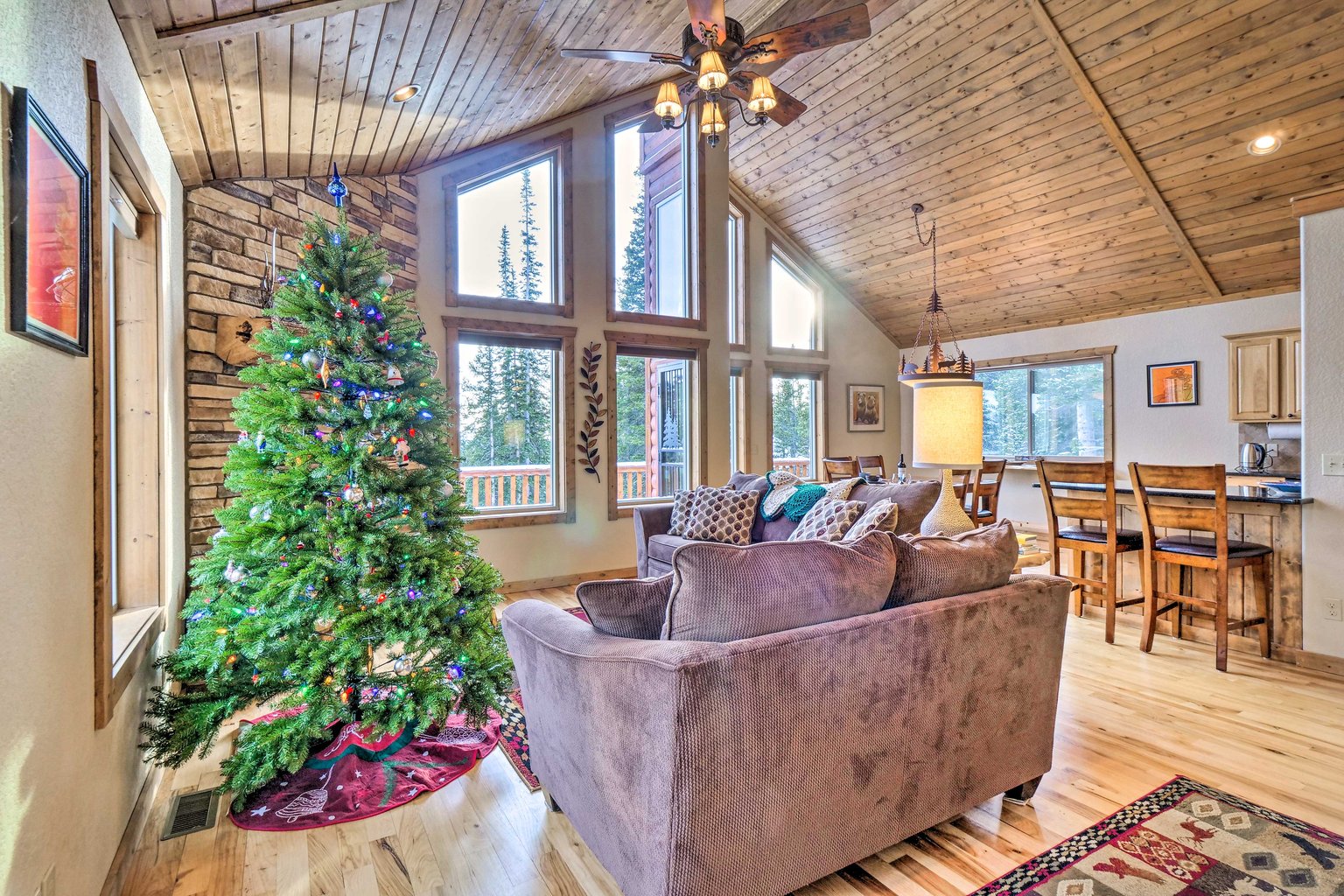 Fairplay Vacation Rental