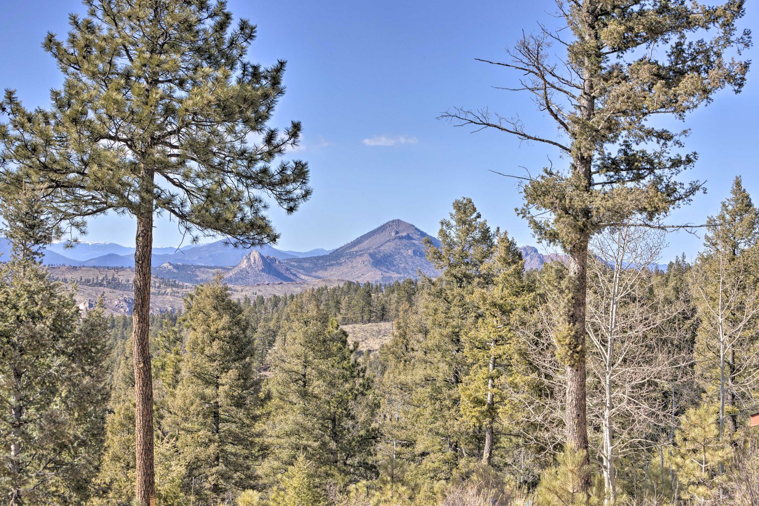 Woodland Park Vacation Rental