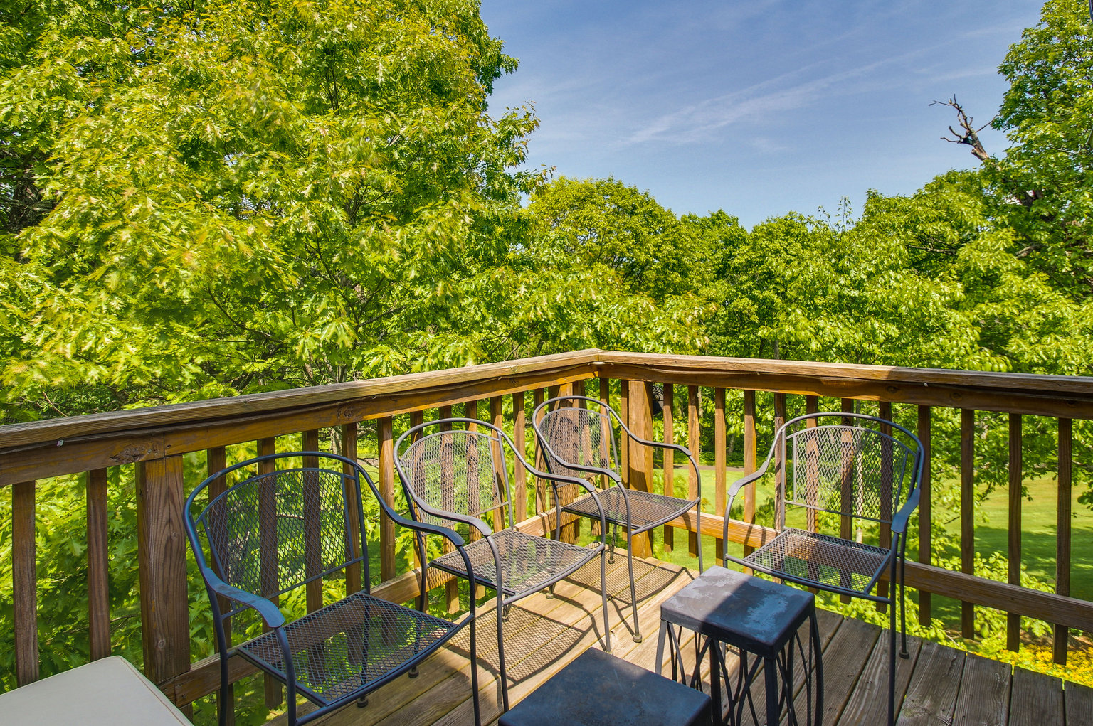 Wintergreen Resort Vacation Rental