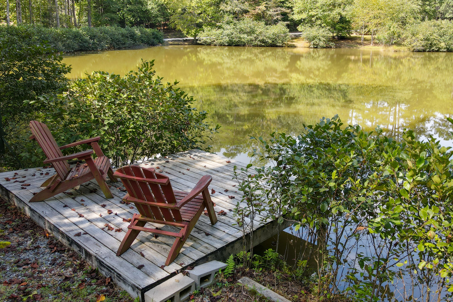 Mineral Bluff Vacation Rental