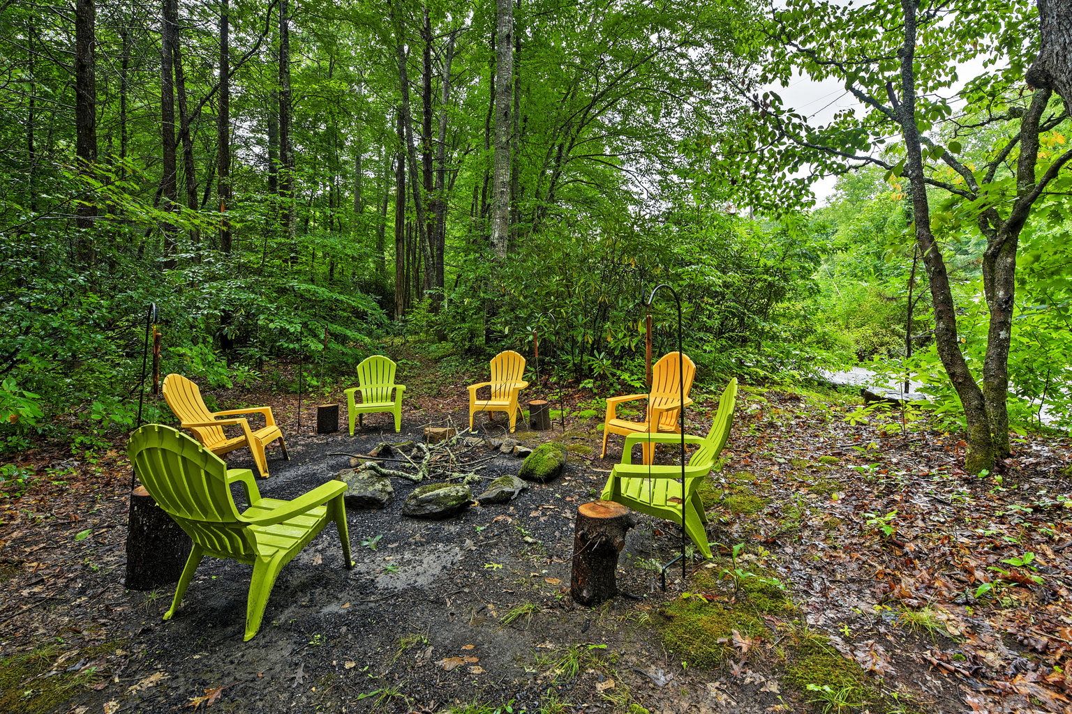 Candler Vacation Rental