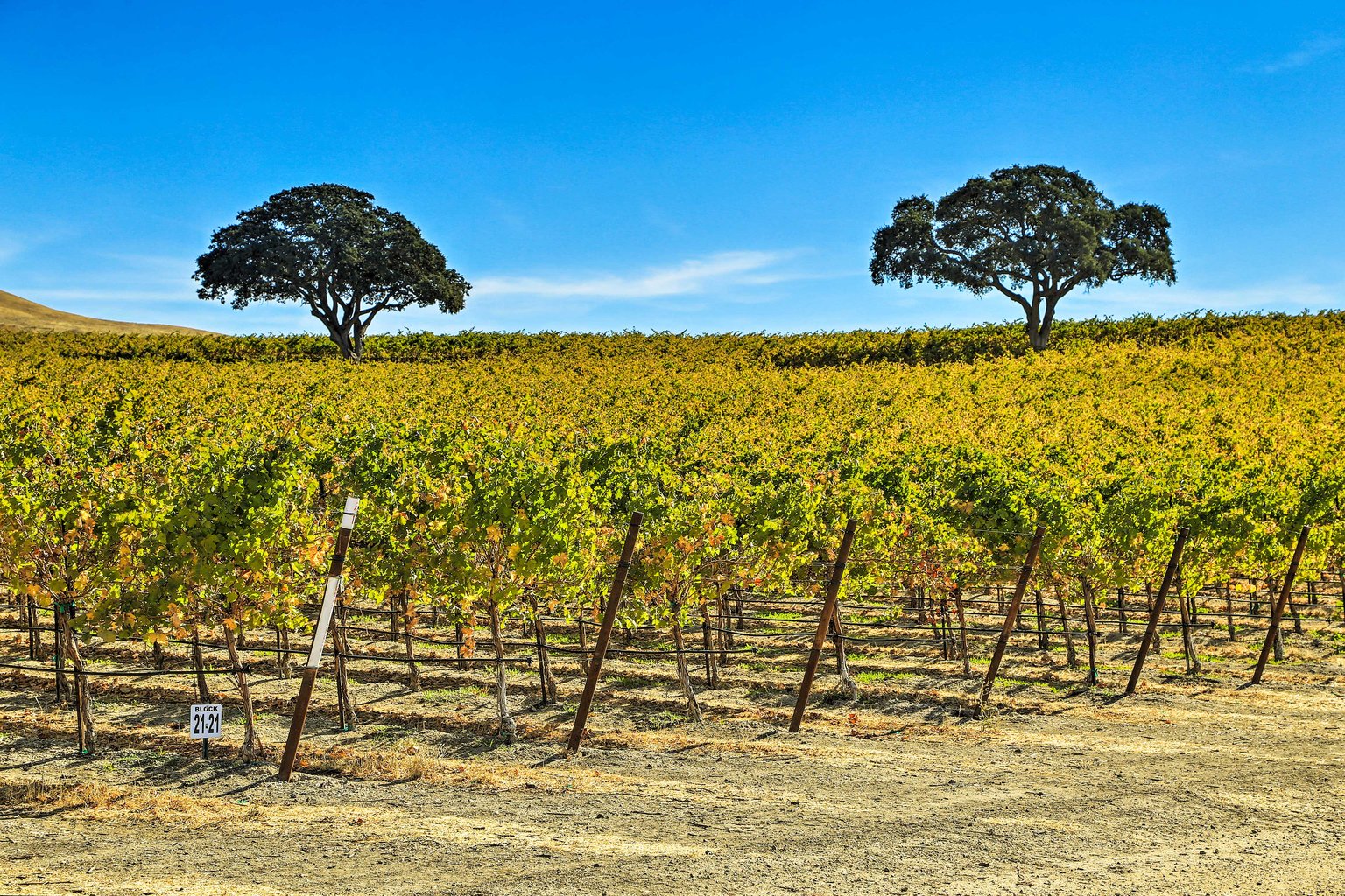 San Miguel Vacation Rental