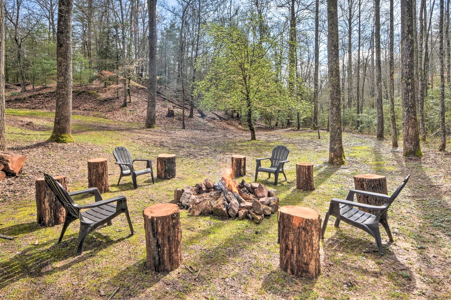 Murphy Vacation Rental