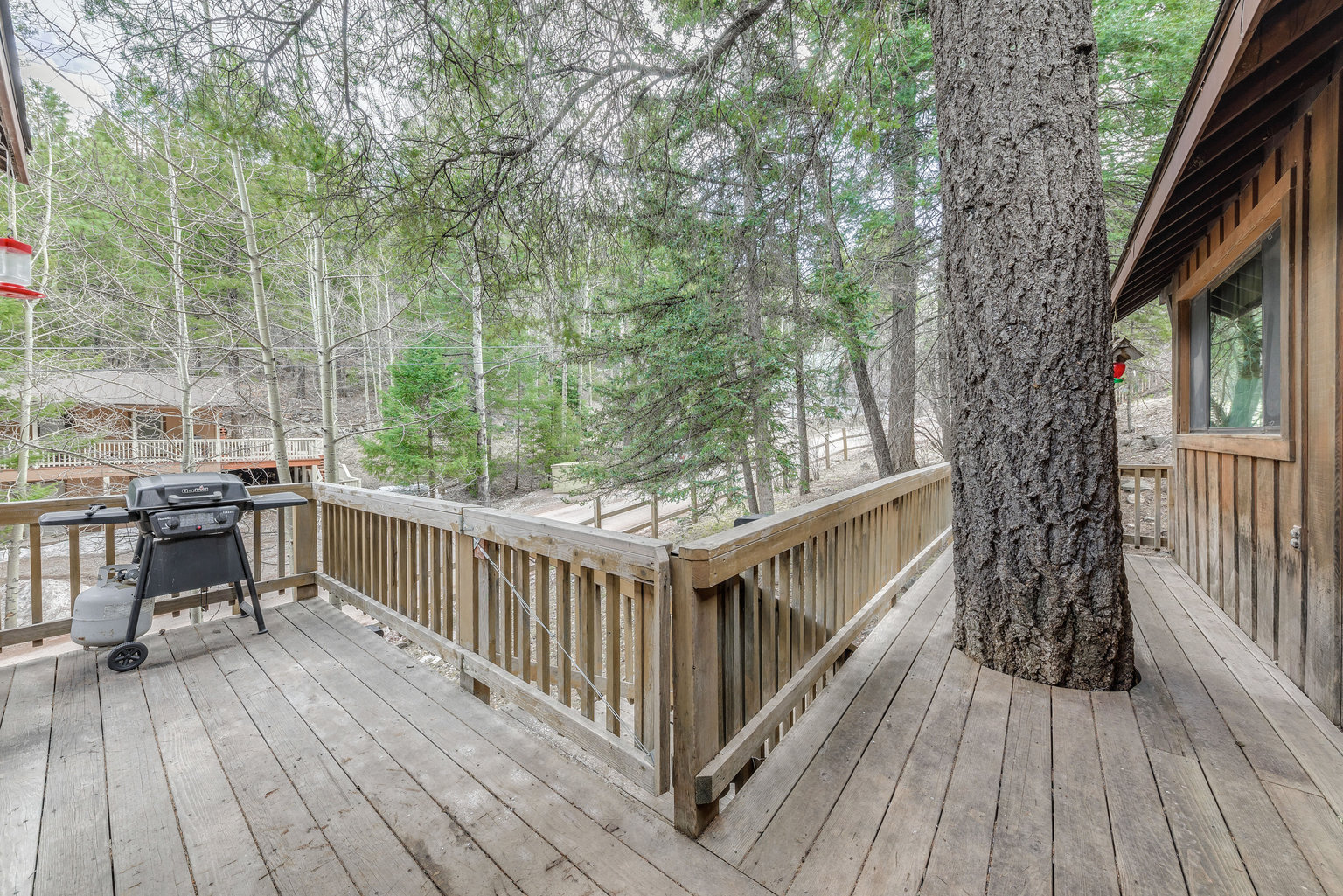 Cloudcroft Vacation Rental