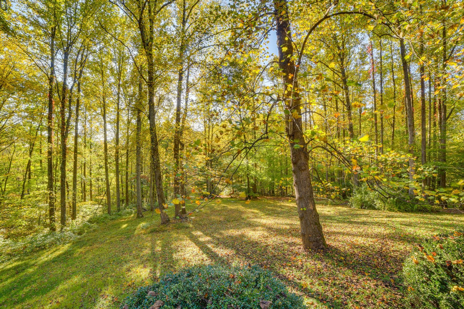 Stanardsville Vacation Rental