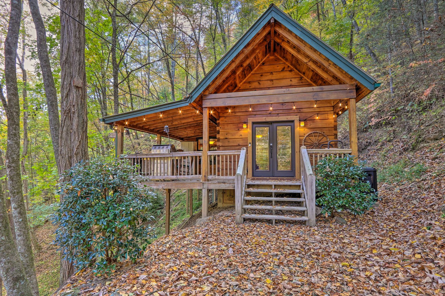 Blue Ridge Vacation Rental