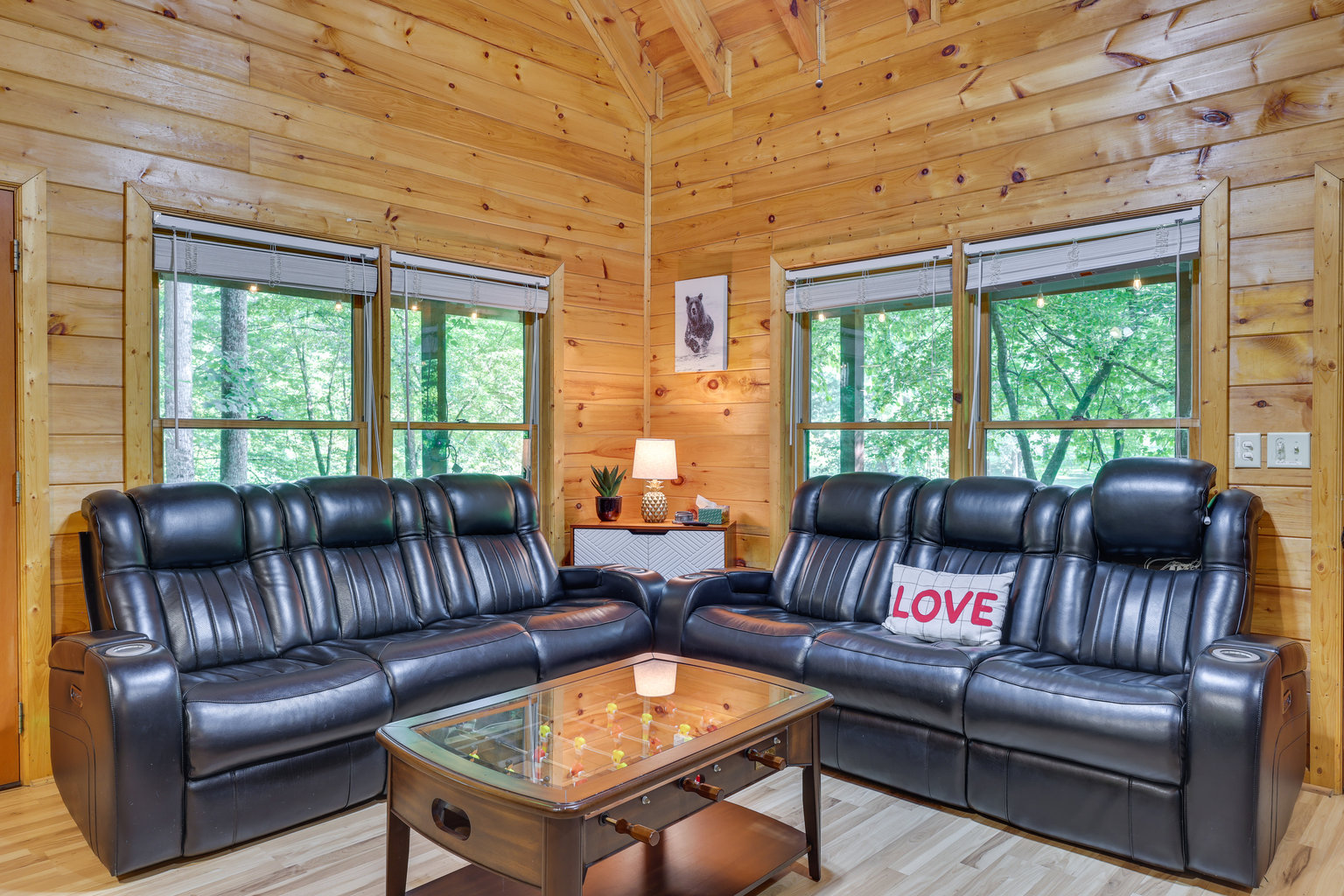 Ellijay Vacation Rental