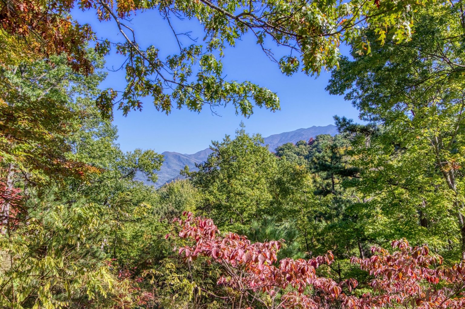 Gatlinburg Vacation Rental